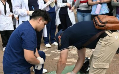 ACTIVIDAD DE INTEGRACIÓN DE MATERIAS